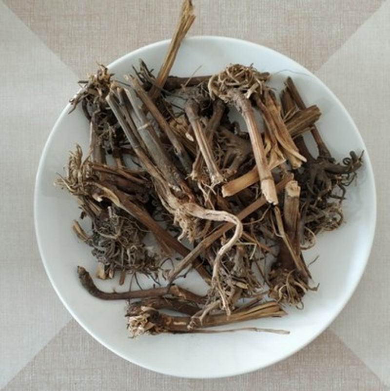1101 Echinacea Root (24).jpg 1101 Echinacea Root (24).jpg