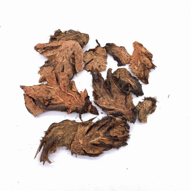 1103 (3).jpg 1103 (3).jpg