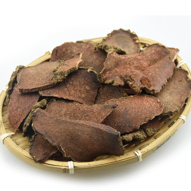 1129 girald pteroxygonum root (11).jpg 1129 girald pteroxygonum root (11).jpg