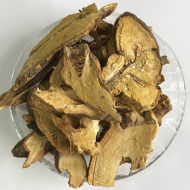 1109 (1).jpg 1109 (1).jpg