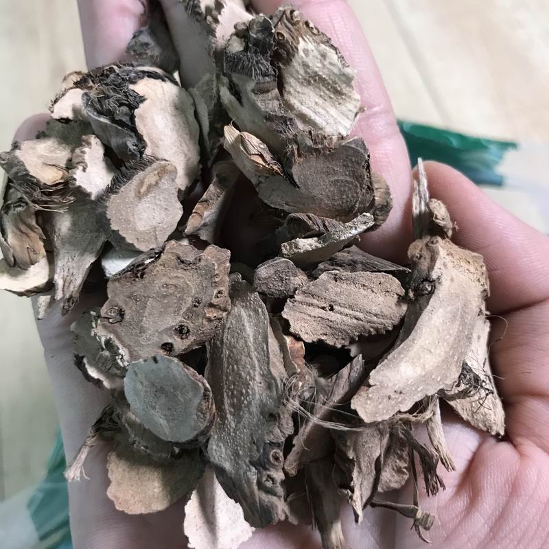 1111 Rhizoma Calami(3).JPG