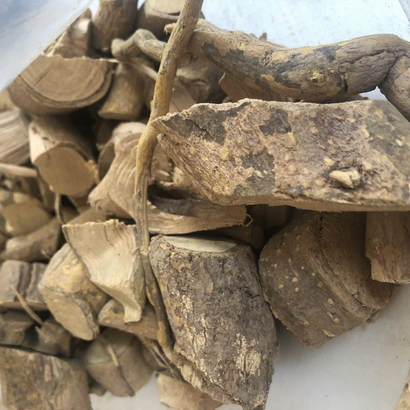 1114 Root (2).jpg 1114 Root (2).jpg