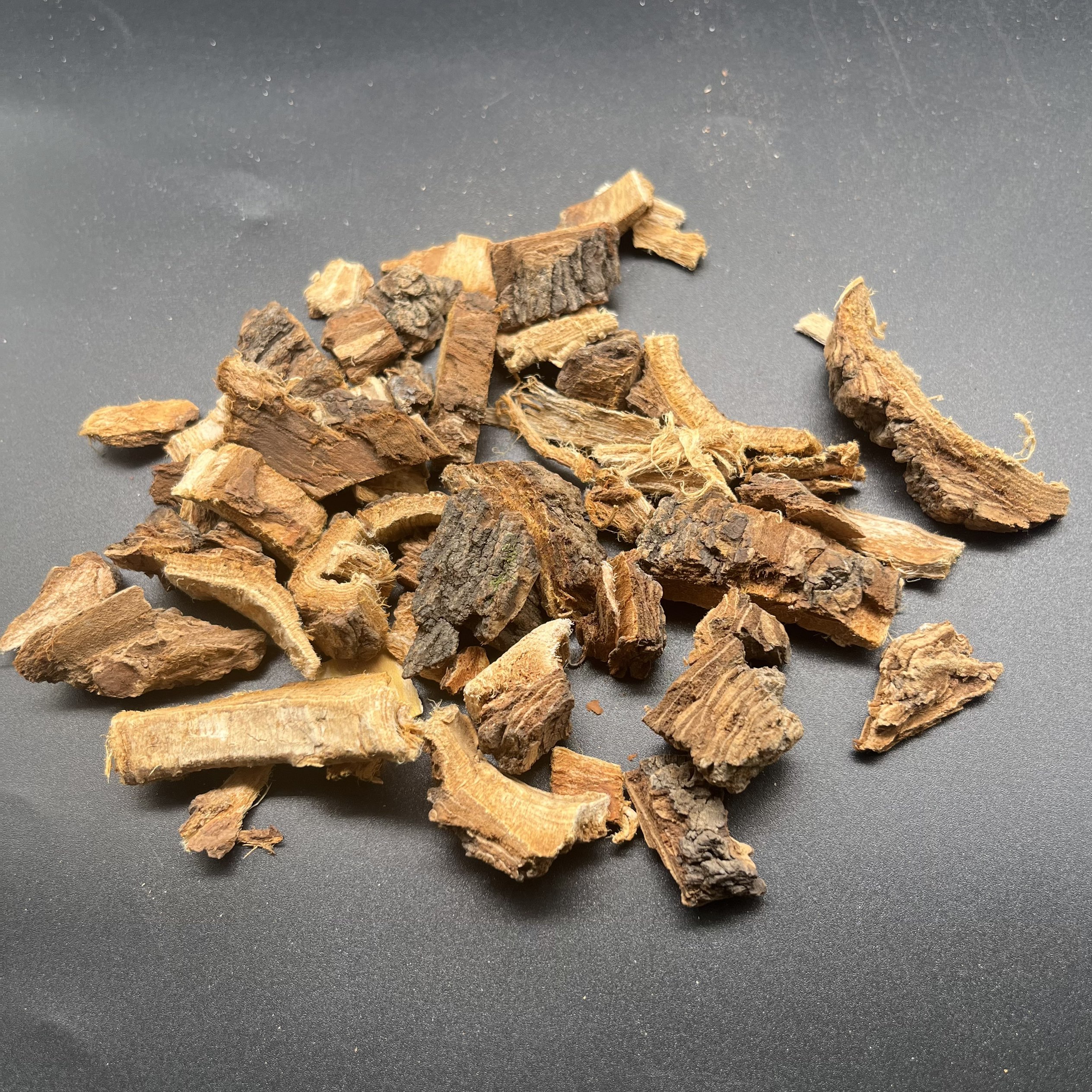 6031 ourter bark (4).png 6031 ourter bark (4).png
