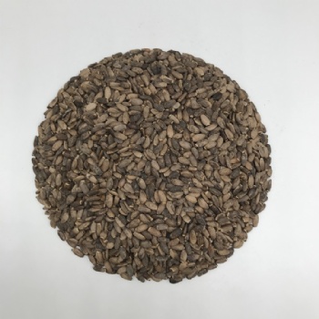 milk thistle seed