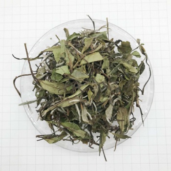 White peony Tea