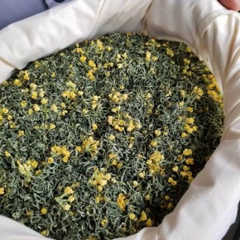 Osmanthus Green Tea