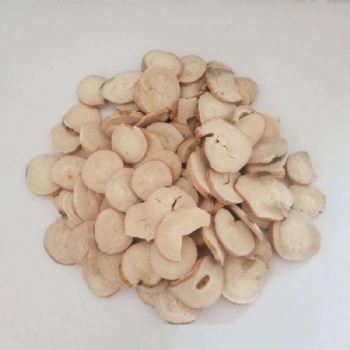 white paeony root