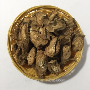 burdock root