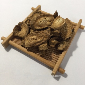 burdock root