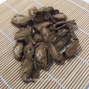 burdock root