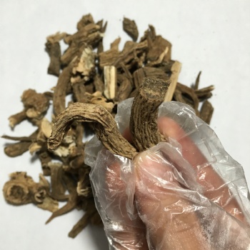 Dipsaci Radix