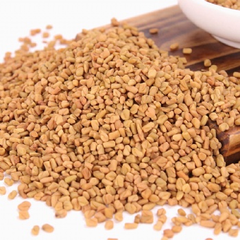 Fenugreek seed