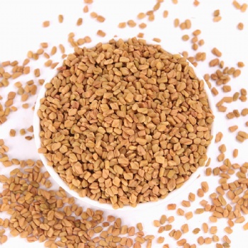 Fenugreek seed