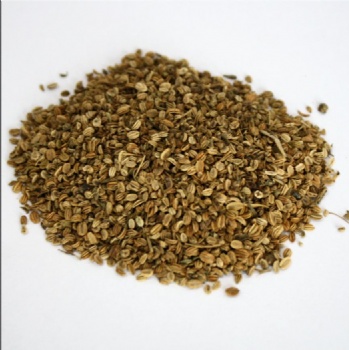 selinum japenious seed