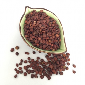 SEED OF WILD JUJUBE