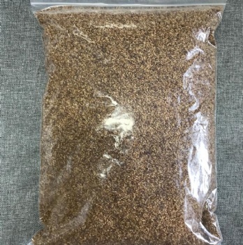 cedar seed