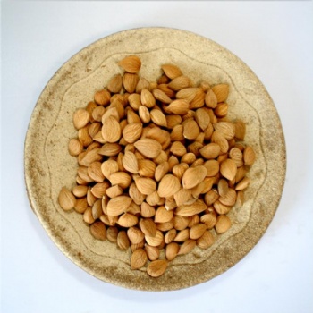 bitter almond