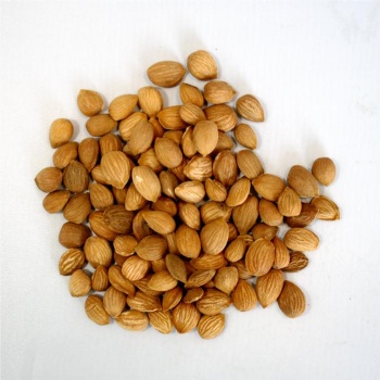 peach kernel