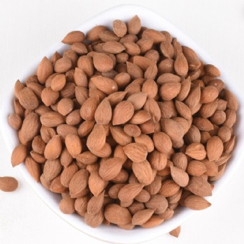 Semen Pruni