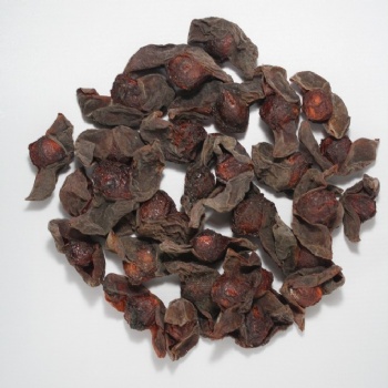 Dark Plum Fruit