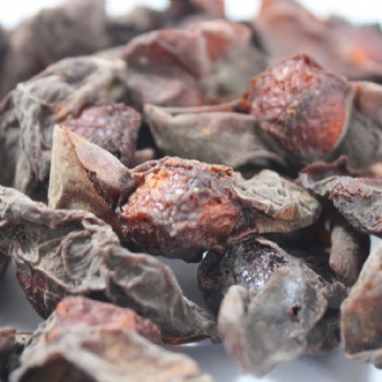 Dark Plum Fruit