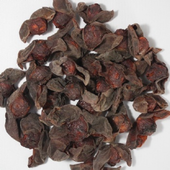 Dark Plum Fruit