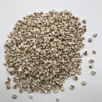 coix seed