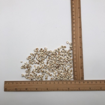 coix seed