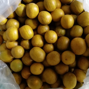 grosvenor momordica fruit