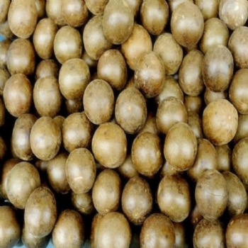 grosvenor momordica fruit