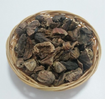 Fructus Chebulae