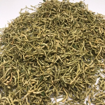 Honeysuckle