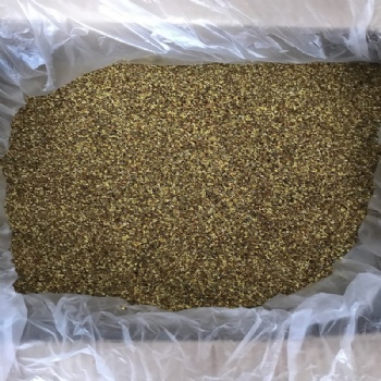 Osmanthus