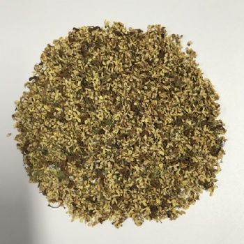 Osmanthus