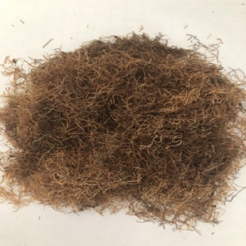 Corn silk