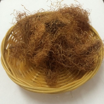 Corn silk
