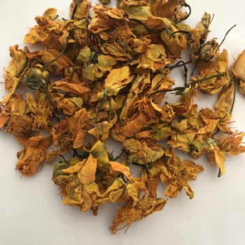 Dried Globeflower flower