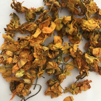 Dried Globeflower flower