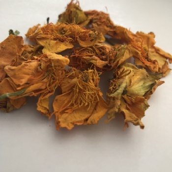 Dried Globeflower flower