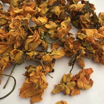 Dried Globeflower flower