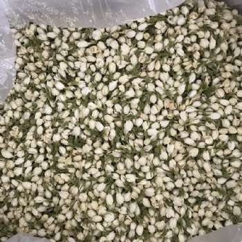 Jasmine buds