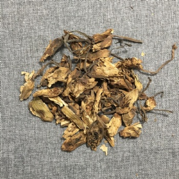 Nymphaeaceae