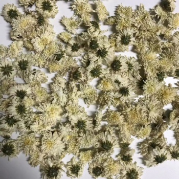 Chrysanthemums