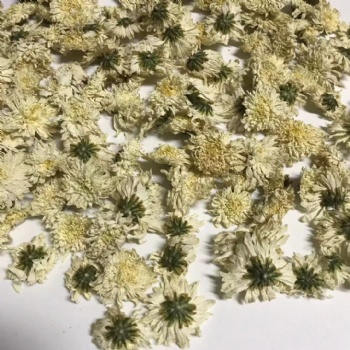 Chrysanthemums