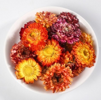 Seven-color Chrysanthemums