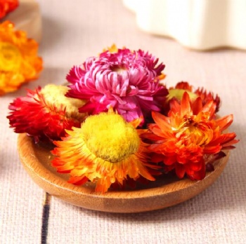 Seven-color Chrysanthemums