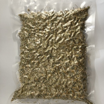 Chamomile