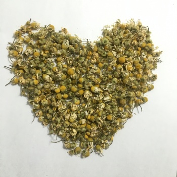 Chamomile