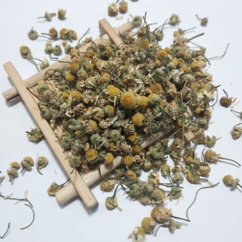 Chamomile