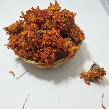 Marigold
